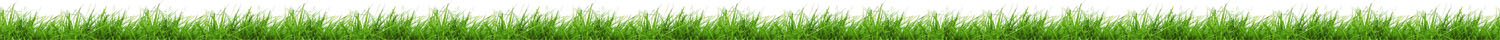 agrotrade